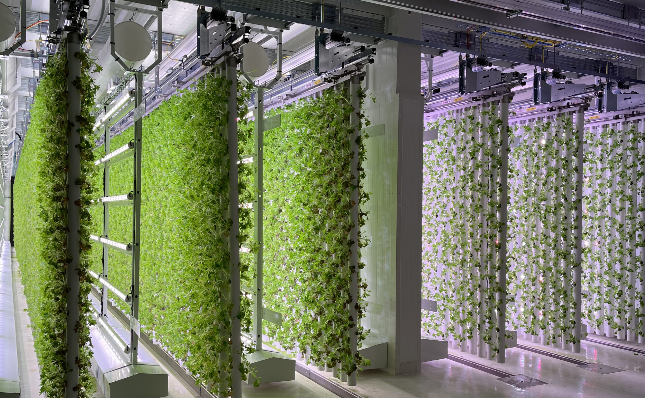 Vertical farming conveyor system